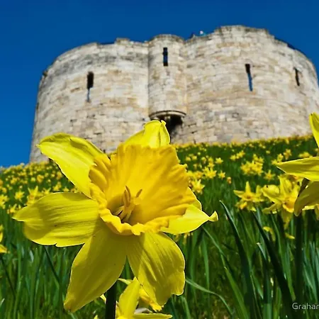 Retreat L Quiet And Close To Everything Feriehus *