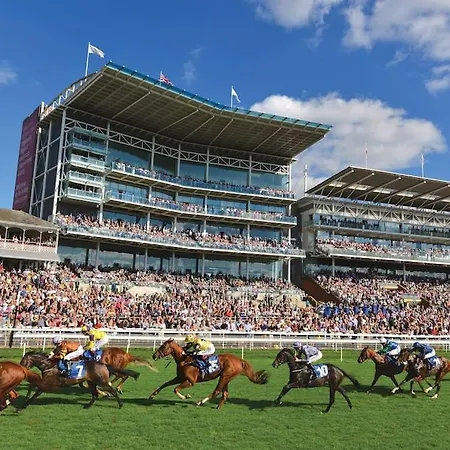 Retreat L Quiet And Close To Everything *